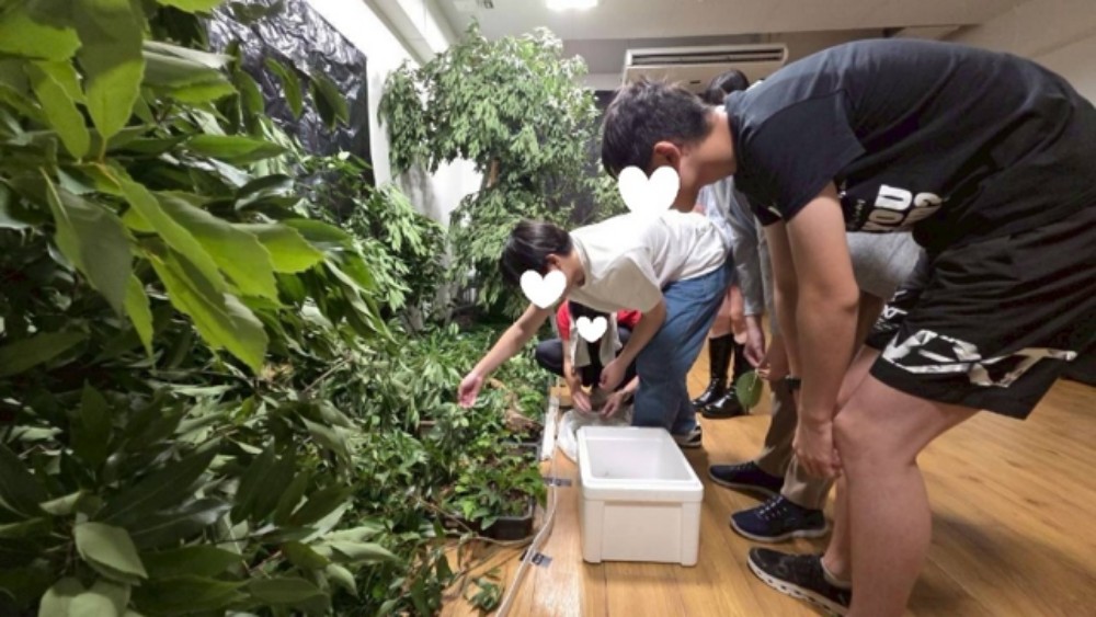 ホタル観賞会